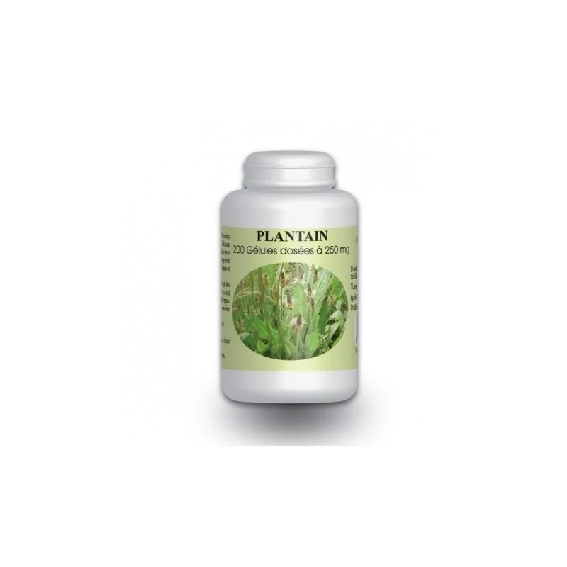 GPH DIFFUSION  GPH DIFFUSION PLANTAIN BIO - 200 GELULES À 250MG