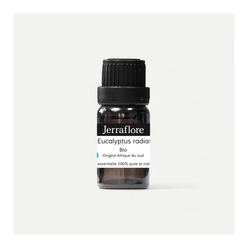 JERRAFLORE JERRAFLORE HUILE ESSENTIELLE EUCALYPTUS RADIATA 10ml