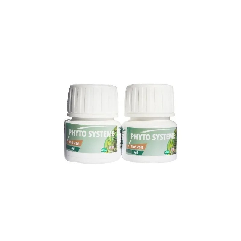 PHYTO SYSTEME Phyto Système Thé Vert & Ail – 60 Gélules