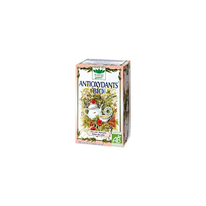 ROMON NATURE ROMON NATURE ANTIOXYDANTS 20x1,7G
